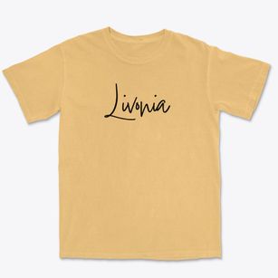 Livonia Michigan Freestyle Premium Heavyweight T-shirt