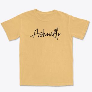 Asheville North Carolina Freestyle Premium Heavyweight T-shirt