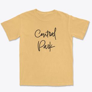 Central Park New Jersey Freestyle Premium Heavyweight T-shirt