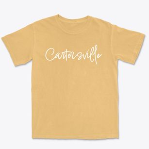 Cartersville Virginia Freestyle Premium Heavyweight T-shirt