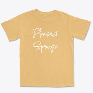 Pleasant Springs Maryland Freestyle Premium Heavyweight T-shirt