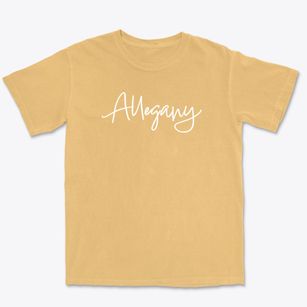 Allegany New York Freestyle Premium Heavyweight T-shirt