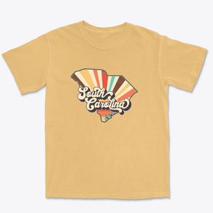  South Carolina Retro Art Premium Heavyweight T-shirt