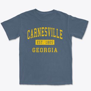 Carnesville Georgia Classic Established Premium Heavyweight T-shirt