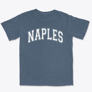 The Village School Of Naples Varsity Arch Premium Heavyweight T-shirt
