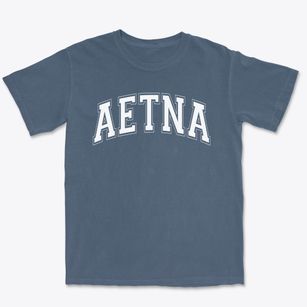 Aetna Elementary School Varsity Arch Premium Heavyweight T-shirt