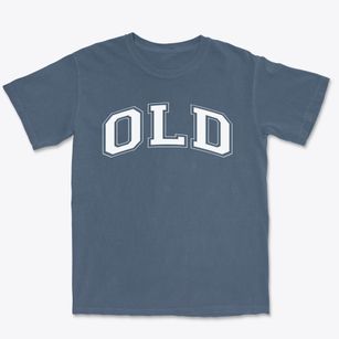 Old Point Avenue Elementary School Varsity Arch Premium Heavyweight T-shirt