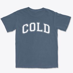 Cold Spring Harbor Elementary School Varsity Arch Premium Heavyweight T-shirt