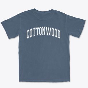 Cottonwood Elementary School Varsity Arch Premium Heavyweight T-shirt