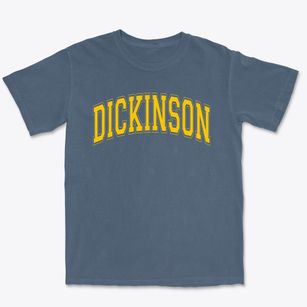 Dickinson Elementary School Varsity Arch Premium Heavyweight T-shirt