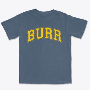 Burr Elementary School Varsity Arch Premium Heavyweight T-shirt