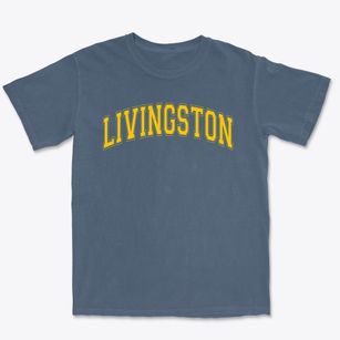 Livingston Collegiate Academy Varsity Arch Premium Heavyweight T-shirt