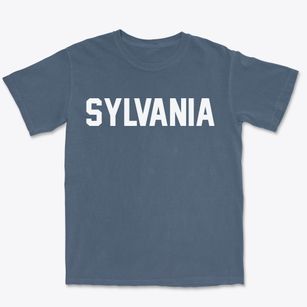 Sylvania Pennsylvania Classic Block Premium Heavyweight T-shirt