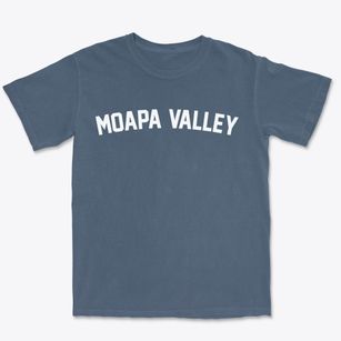 Moapa Valley Nevada Classic Curve Premium Heavyweight T-shirt