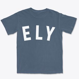 Ely Nevada Classic Curve Premium Heavyweight T-shirt