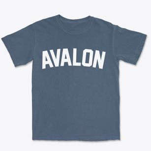 Avalon New Jersey Classic Curve Premium Heavyweight T-shirt