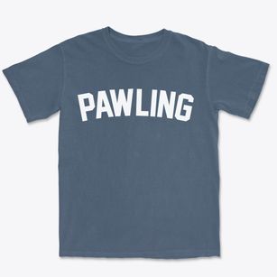 Pawling New York Classic Curve Premium Heavyweight T-shirt