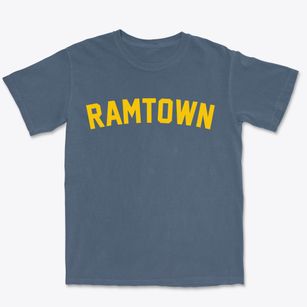 Ramtown New Jersey Classic Curve Premium Heavyweight T-shirt