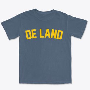 De Land Illinois Classic Curve Premium Heavyweight T-shirt