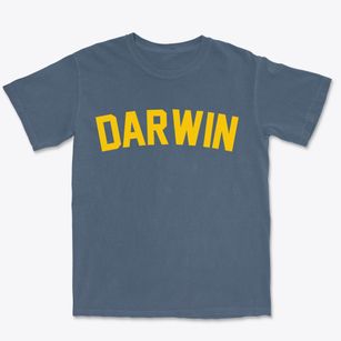 Darwin Minnesota Classic Curve Premium Heavyweight T-shirt