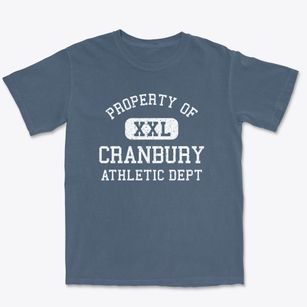 Cranbury New Jersey Athletic Dept Premium Heavyweight T-shirt