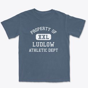Ludlow Missouri Athletic Dept Premium Heavyweight T-shirt