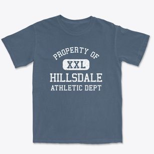 Hillsdale New Jersey Athletic Dept Premium Heavyweight T-shirt
