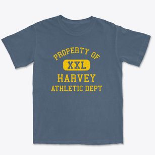 Harvey Illinois Athletic Dept Premium Heavyweight T-shirt