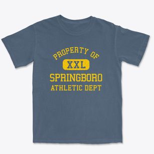 Springboro Ohio Athletic Dept Premium Heavyweight T-shirt