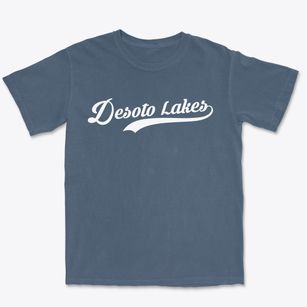 Desoto Lakes Florida Vintage Team Premium Heavyweight T-shirt