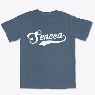 Seneca Kansas Vintage Team Premium Heavyweight T-shirt