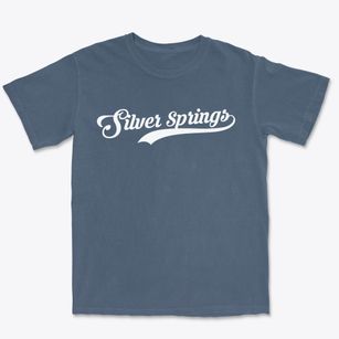Silver Springs New York Vintage Team Premium Heavyweight T-shirt