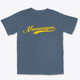 Nasewaupee Wisconsin Vintage Team Premium Heavyweight T-shirt