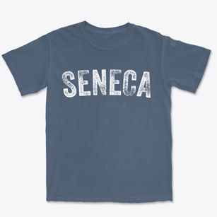 Seneca Illinois Timeless Retro Premium Heavyweight T-shirt