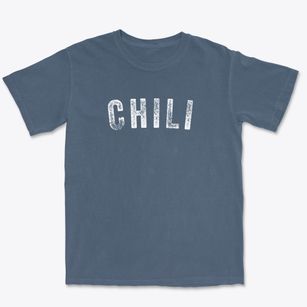 Chili New York Timeless Retro Premium Heavyweight T-shirt