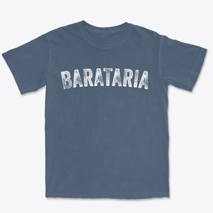 Barataria Louisiana Timeless Retro Premium Heavyweight T-shirt