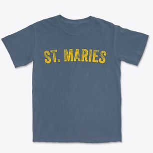 St. Maries Idaho Timeless Retro Premium Heavyweight T-shirt