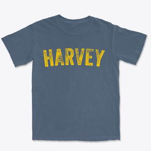 Harvey Illinois Timeless Retro Premium Heavyweight T-shirt
