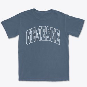Genesee Colorado Trendy Block Premium Heavyweight T-shirt