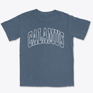 Calamus Iowa Trendy Block Premium Heavyweight T-shirt