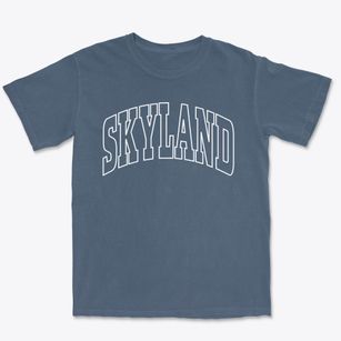 Skyland Nevada Trendy Block Premium Heavyweight T-shirt
