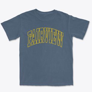 Fairview North Carolina Trendy Block Premium Heavyweight T-shirt