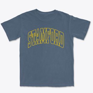 Stamford Texas Trendy Block Premium Heavyweight T-shirt