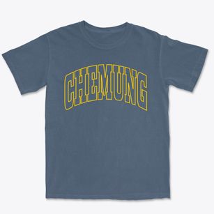 Chemung New York Trendy Block Premium Heavyweight T-shirt
