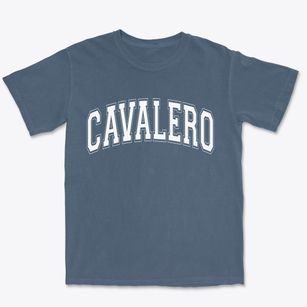 Cavalero Washington Varsity Premium Heavyweight T-shirt