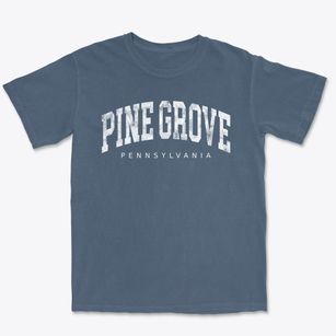 Pine Grove Pennsylvania Urban Vibe Premium Heavyweight T-shirt
