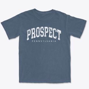 Prospect Pennsylvania Urban Vibe Premium Heavyweight T-shirt