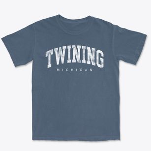 Twining Michigan Urban Vibe Premium Heavyweight T-shirt