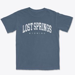 Lost Springs Wyoming Urban Vibe Premium Heavyweight T-shirt