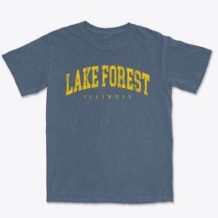 Lake Forest Illinois Urban Vibe Premium Heavyweight T-shirt